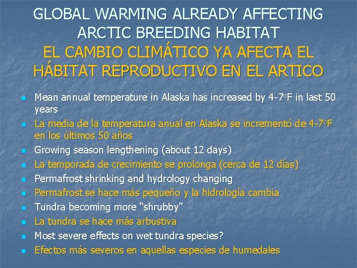 GLOBAL WARMING ALREADY AFFECTING ARCTIC BREEDING HABITAT EL CAMBIO CLIMÁTICO YA AFECTA EL HÁBITAT