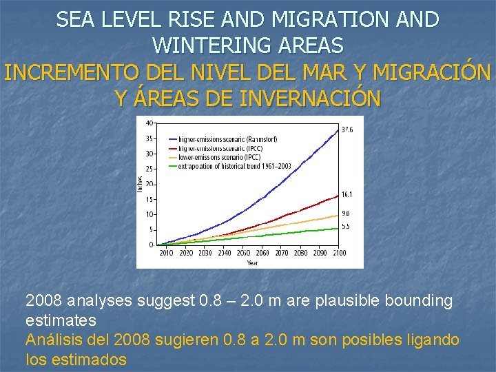 SEA LEVEL RISE AND MIGRATION AND WINTERING AREAS INCREMENTO DEL NIVEL DEL MAR Y