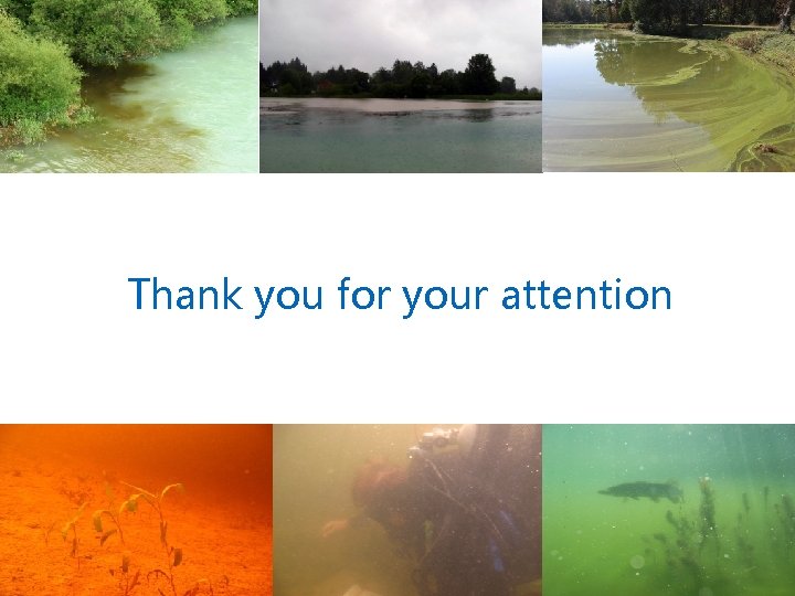 Thank you for your attention 