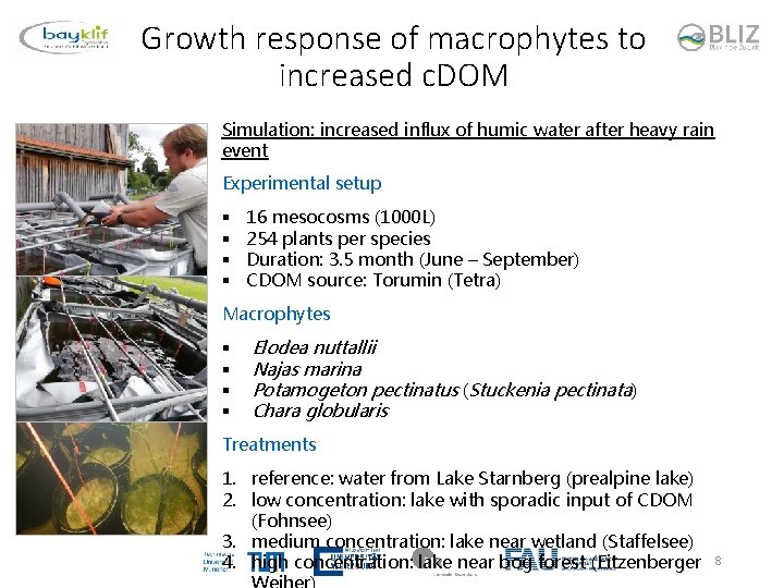 Growth response of macrophytes to increased c. DOM Simulation: increased influx of humic water
