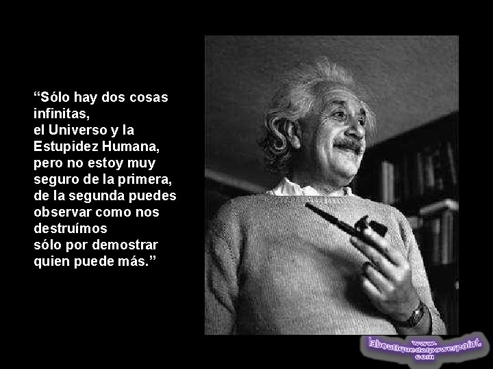 “Sólo hay dos cosas infinitas, el Universo y la Estupidez Humana, pero no estoy