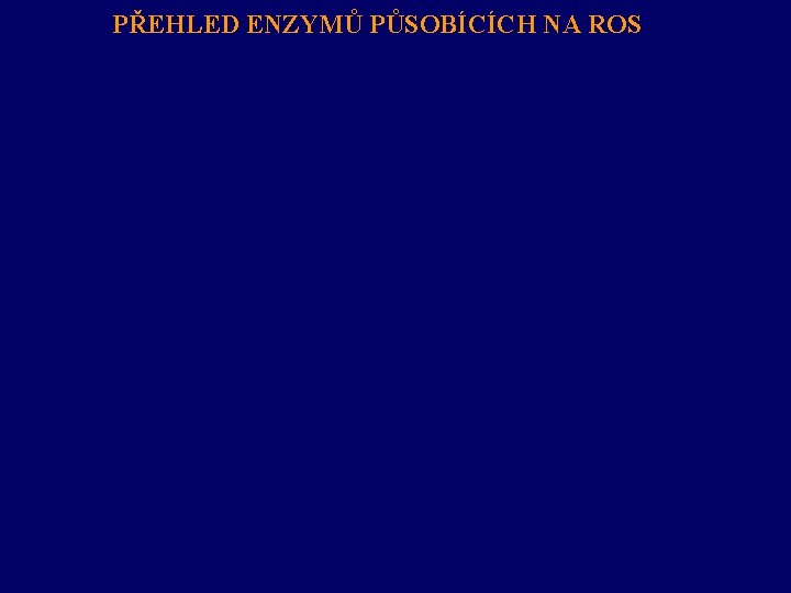PŘEHLED ENZYMŮ PŮSOBÍCÍCH NA ROS 