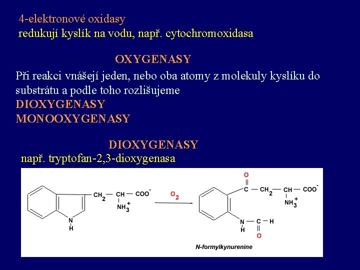 4 -elektronové oxidasy redukují kyslík na vodu, např. cytochromoxidasa OXYGENASY Při reakci vnášejí jeden,