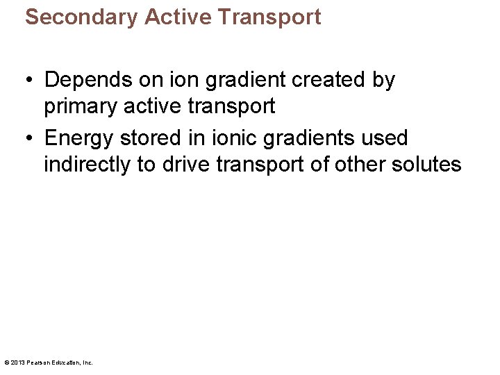 Secondary Active Transport • Depends on ion gradient created by primary active transport •