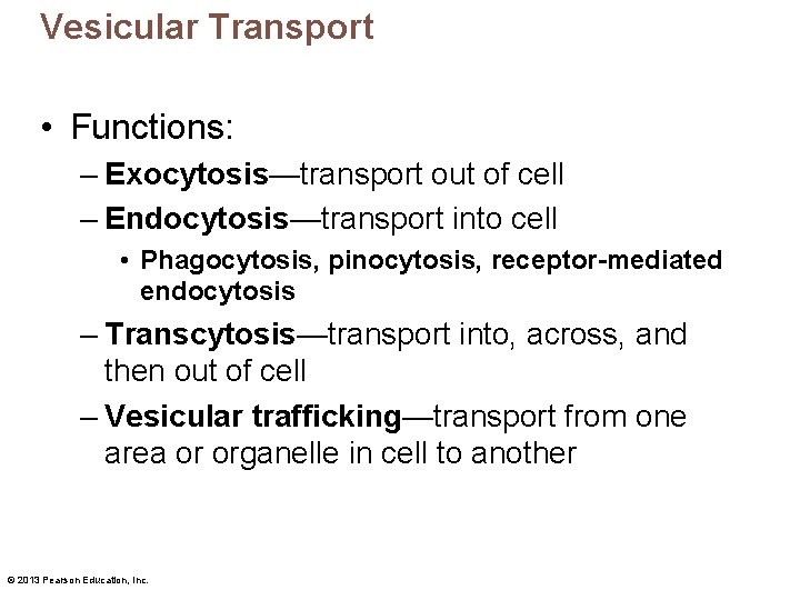 Vesicular Transport • Functions: – Exocytosis—transport out of cell – Endocytosis—transport into cell •