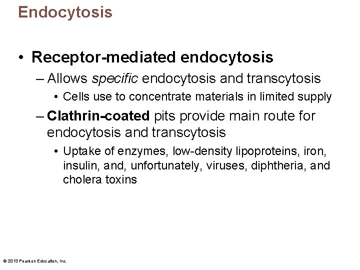 Endocytosis • Receptor-mediated endocytosis – Allows specific endocytosis and transcytosis • Cells use to