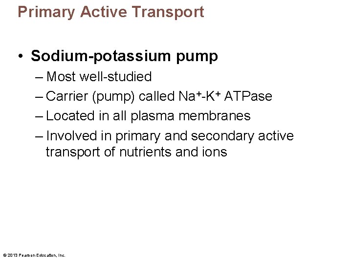 Primary Active Transport • Sodium-potassium pump – Most well-studied – Carrier (pump) called Na+-K+
