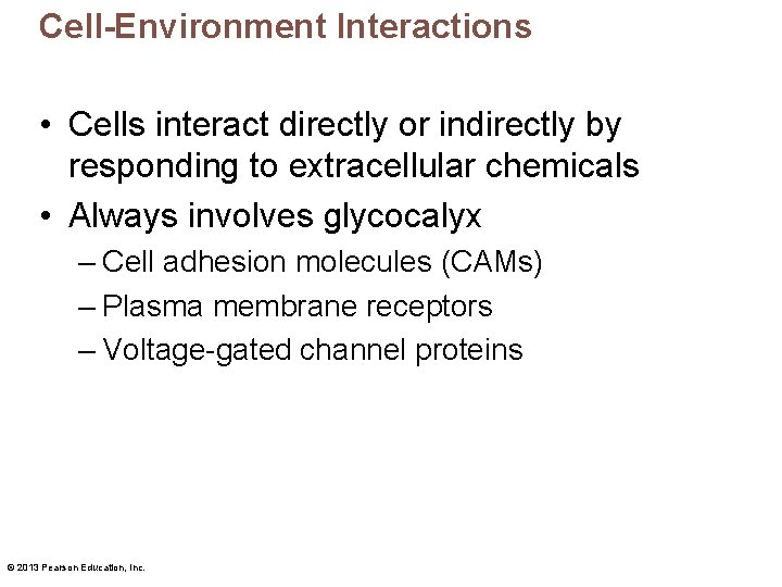 Cell-Environment Interactions • Cells interact directly or indirectly by responding to extracellular chemicals •