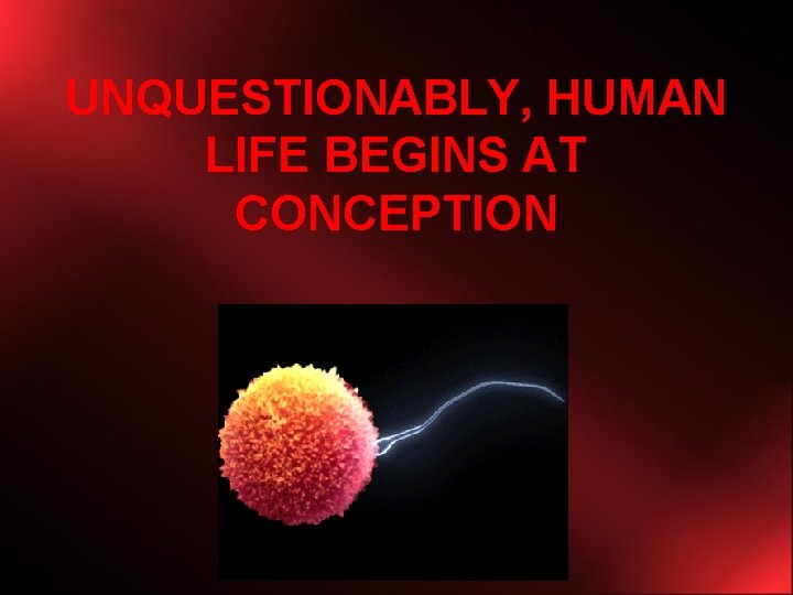 UNQUESTIONABLY, HUMAN LIFE BEGINS AT CONCEPTION 