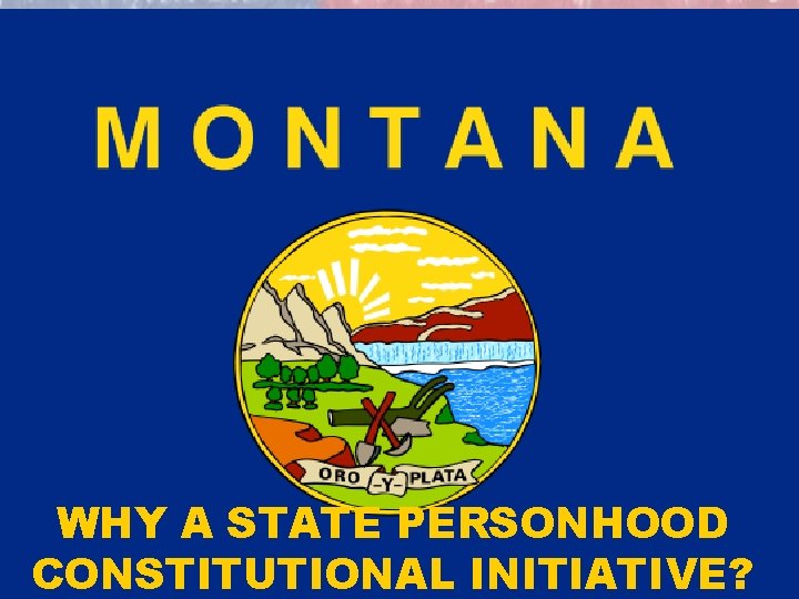 WHY A STATE PERSONHOOD CONSTITUTIONAL INITIATIVE? 