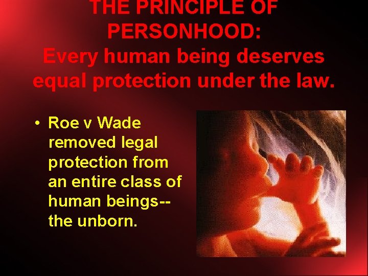 THE PRINCIPLE OF PERSONHOOD: Every human being deserves equal protection under the law. •