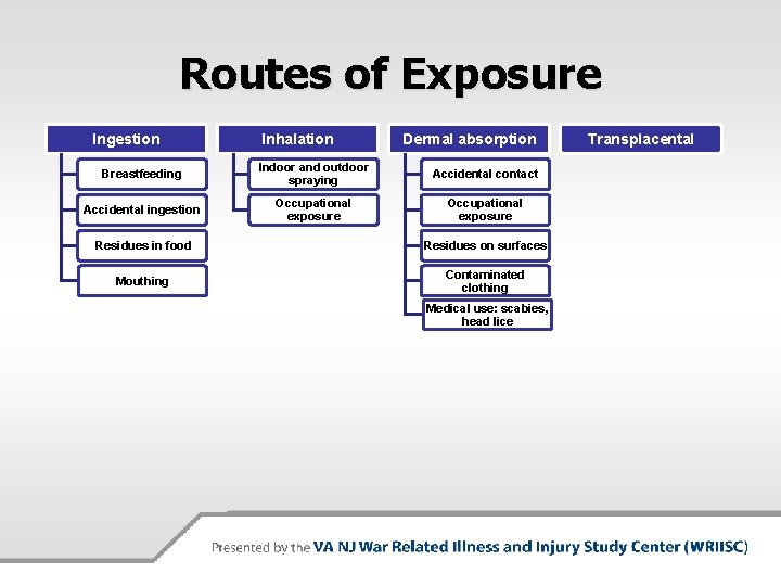 Routes of Exposure Ingestion Inhalation Dermal absorption Breastfeeding Indoor and outdoor spraying Accidental contact