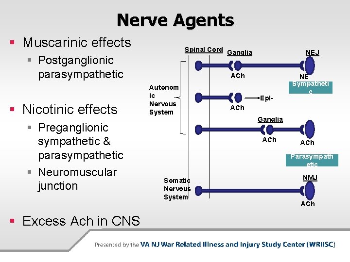 Nerve Agents § Muscarinic effects Spinal Cord Ganglia § Postganglionic parasympathetic § Nicotinic effects