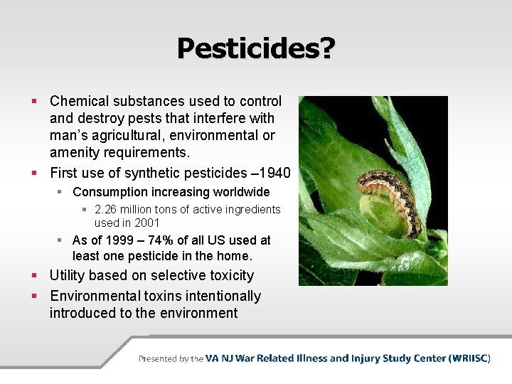 Pesticides? § Chemical substances used to control and destroy pests that interfere with man’s