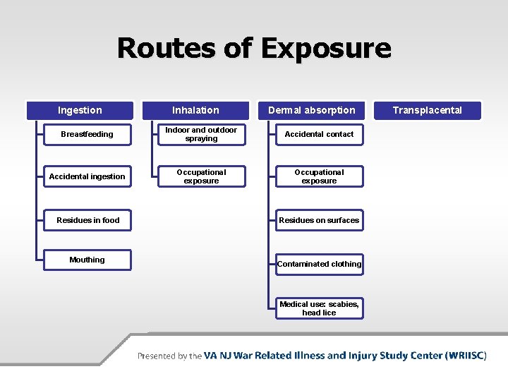 Routes of Exposure Ingestion Inhalation Dermal absorption Breastfeeding Indoor and outdoor spraying Accidental contact