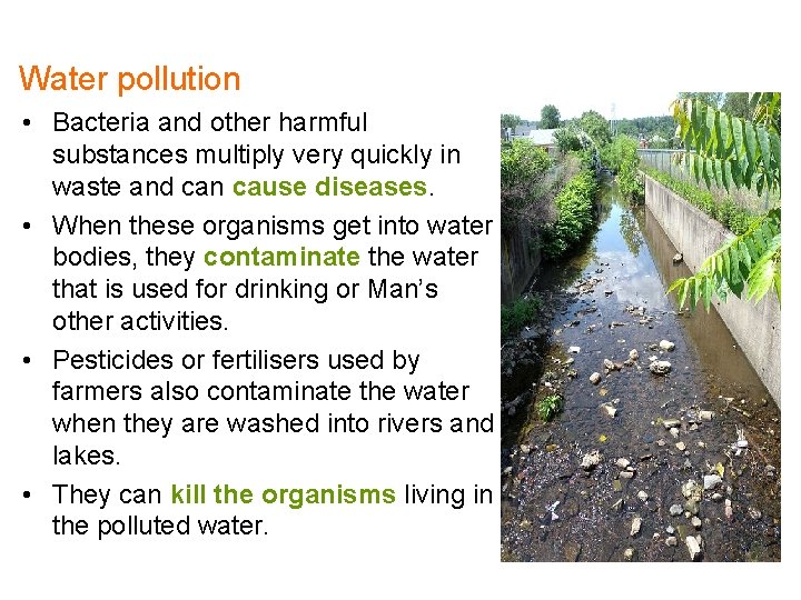 Water pollution • Bacteria and other harmful substances multiply very quickly in waste and