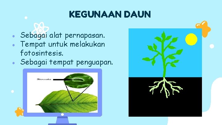 KEGUNAAN DAUN ● ● ● Sebagai alat pernapasan. Tempat untuk melakukan fotosintesis. Sebagai tempat