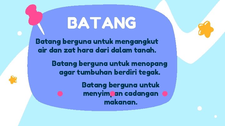 BATANG Batang berguna untuk mengangkut air dan zat hara dari dalam tanah. Batang berguna