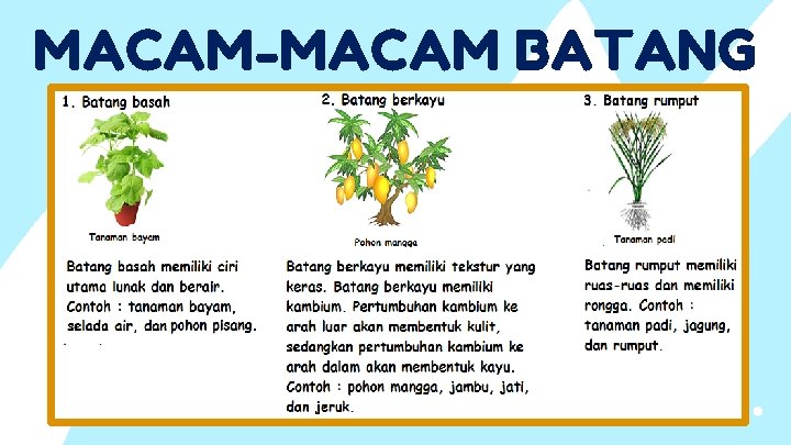 MACAM-MACAM BATANG 