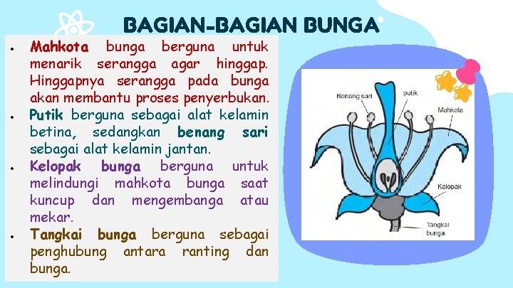 BAGIAN-BAGIAN BUNGA Mahkota bunga berguna untuk menarik serangga agar hinggap. Hinggapnya serangga pada bunga