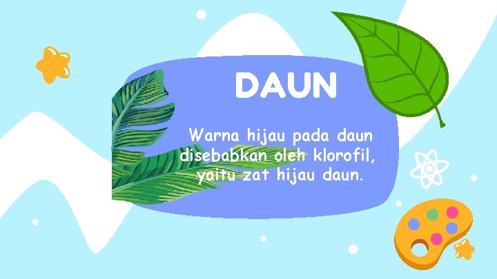 DAUN Warna hijau pada daun disebabkan oleh klorofil, yaitu zat hijau daun. 