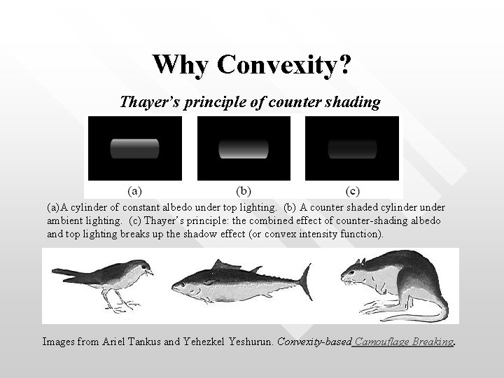 Why Convexity? Thayer’s principle of counter shading (a)A cylinder of constant albedo under top