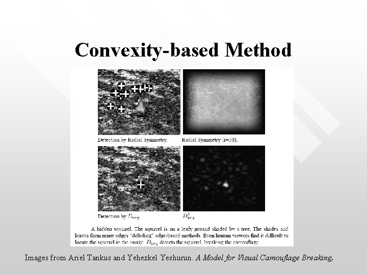 Convexity-based Method Images from Ariel Tankus and Yehezkel Yeshurun. A Model for Visual Camouflage