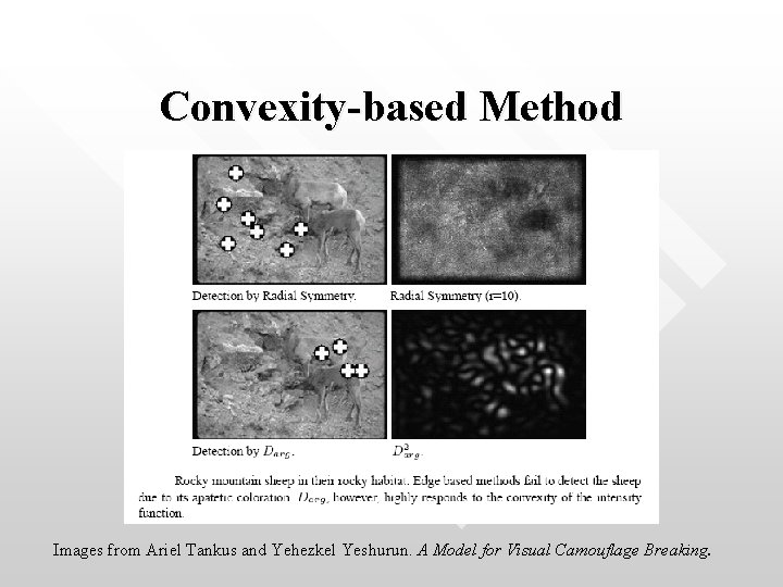 Convexity-based Method Images from Ariel Tankus and Yehezkel Yeshurun. A Model for Visual Camouflage