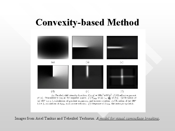 Convexity-based Method Images from Ariel Tankus and Yehezkel Yeshurun. A model for visual camouflage