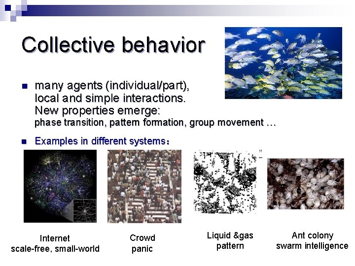Collective behavior n many agents (individual/part), local and simple interactions. New properties emerge: phase