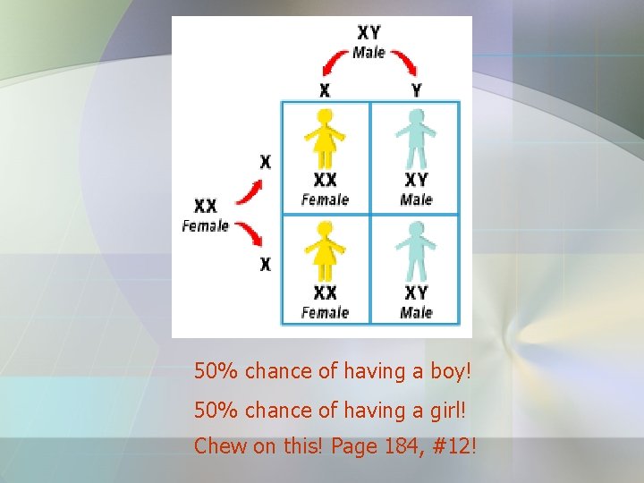 50% chance of having a boy! 50% chance of having a girl! Chew on