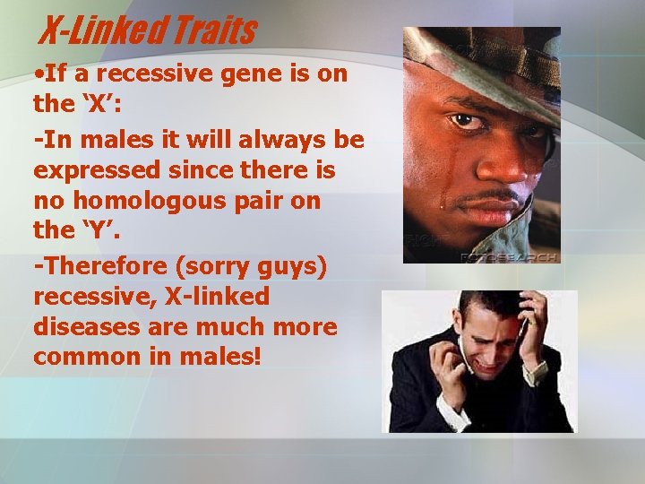 X-Linked Traits • If a recessive gene is on the ‘X’: -In males it