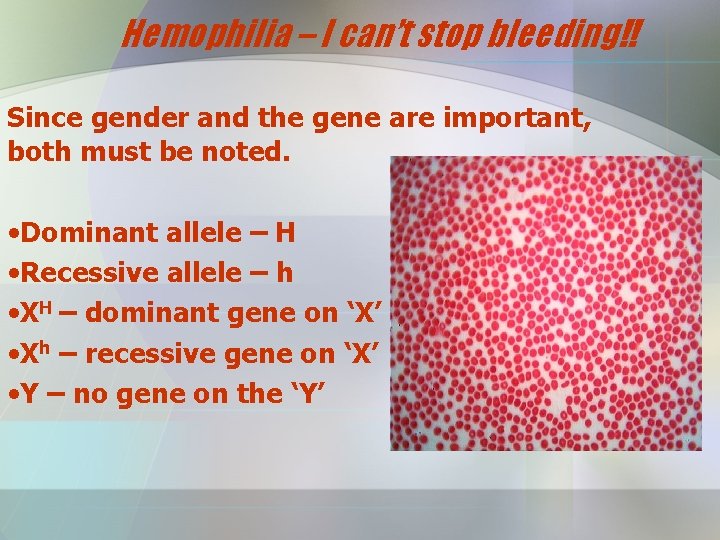 Hemophilia – I can’t stop bleeding!! Since gender and the gene are important, both