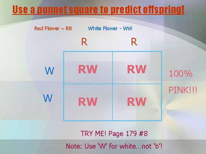 Use a punnet square to predict offspring! Red Flower – RR White Flower -