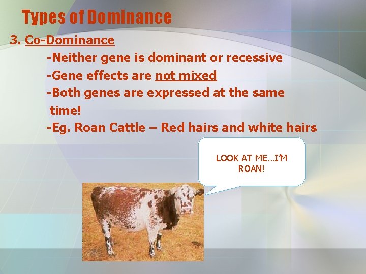 Types of Dominance 3. Co-Dominance -Neither gene is dominant or recessive -Gene effects are