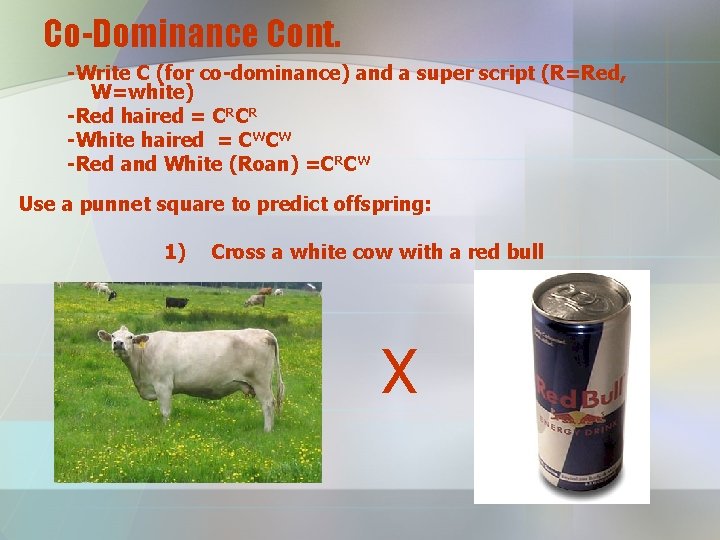 Co-Dominance Cont. -Write C (for co-dominance) and a super script (R=Red, W=white) -Red haired
