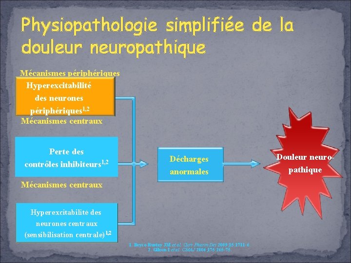 Physiopathologie simplifiée de la douleur neuropathique Mécanismes périphériques Hyperexcitabilité des neurones périphériques 1, 2