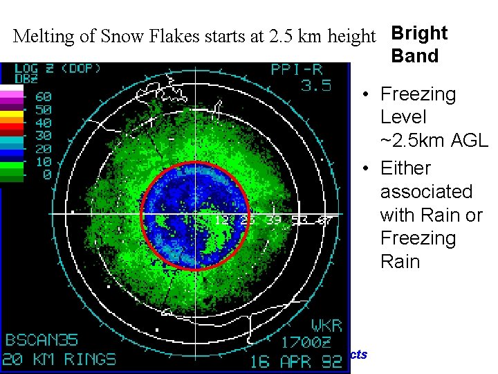 Melting of Snow Flakes starts at 2. 5 km height Bright Band • Freezing