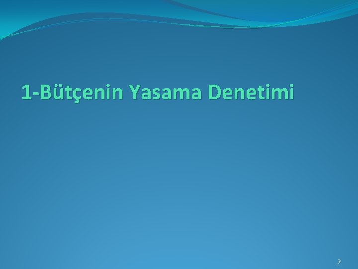 1 -Bütçenin Yasama Denetimi 3 