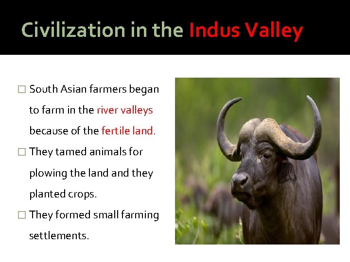 Civilization in the Indus Valley � South Asian farmers began to farm in the