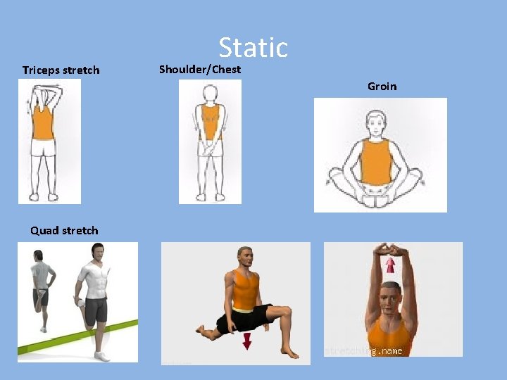 Triceps stretch Static Shoulder/Chest Groin Quad stretch 