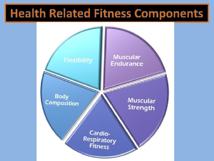 Health Related Fitness Components 