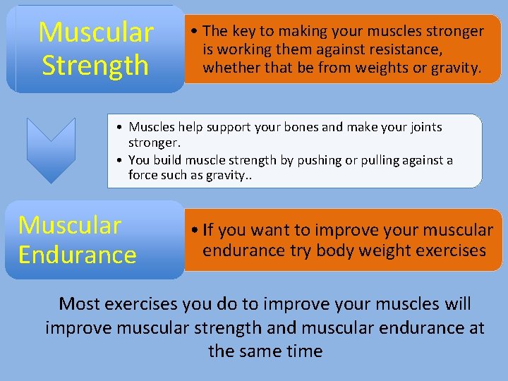 Muscular Strength • The key to making your muscles stronger is working them against