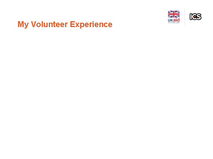 My Volunteer Experience 