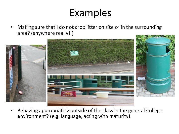 Examples • Making sure that I do not drop litter on site or in