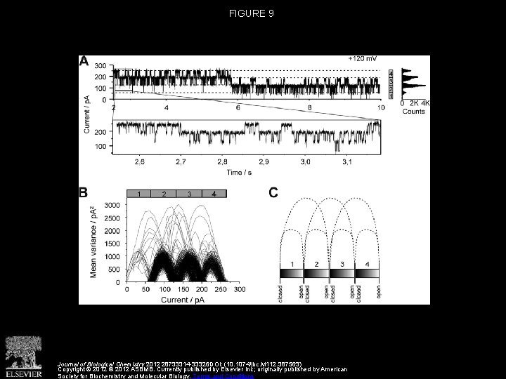 FIGURE 9 Journal of Biological Chemistry 2012 28733314 -33326 DOI: (10. 1074/jbc. M 112.