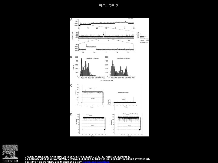 FIGURE 2 Journal of Biological Chemistry 2012 28733314 -33326 DOI: (10. 1074/jbc. M 112.