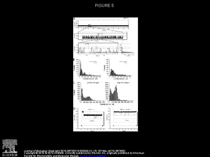 FIGURE 5 Journal of Biological Chemistry 2012 28733314 -33326 DOI: (10. 1074/jbc. M 112.