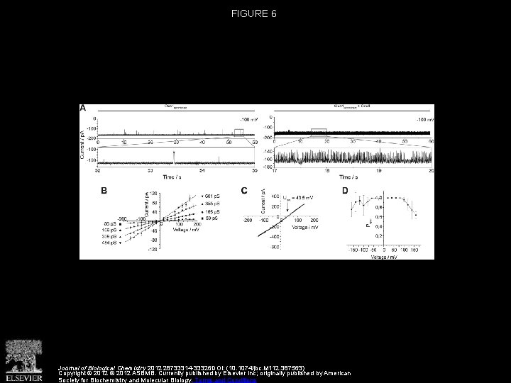 FIGURE 6 Journal of Biological Chemistry 2012 28733314 -33326 DOI: (10. 1074/jbc. M 112.