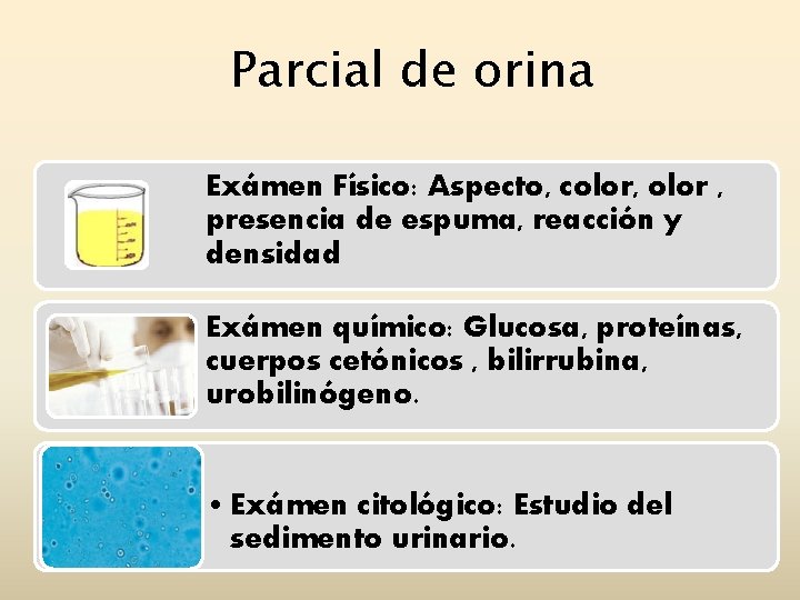 Parcial de orina Exámen Físico: Aspecto, color, olor , presencia de espuma, reacción y